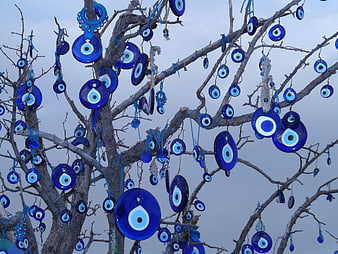 Blue Nazar Amulets Hanging on Bare Tree Branches