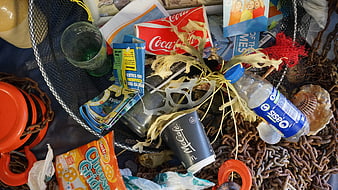 Beach Litter and Plastic Waste on Rusty Chains