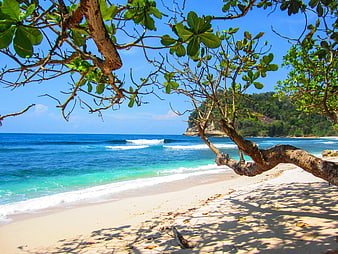 Tropical Beach Landscape With Turquoise Ocean Water And White Sand