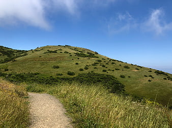 Dirt hiking trail winding through green grassy hills under blue sky