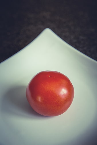 Single Red Tomato on White Square Plate