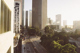 Sunlit Downtown Los Angeles Skyscrapers and Street View