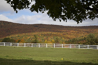 White Fence in Green Pasture with Autumn Mountain View