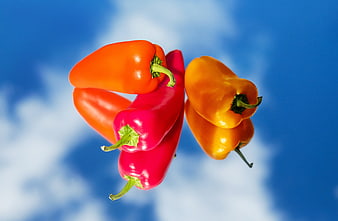 Colorful Bell Peppers Floating Against Blue Sky Background