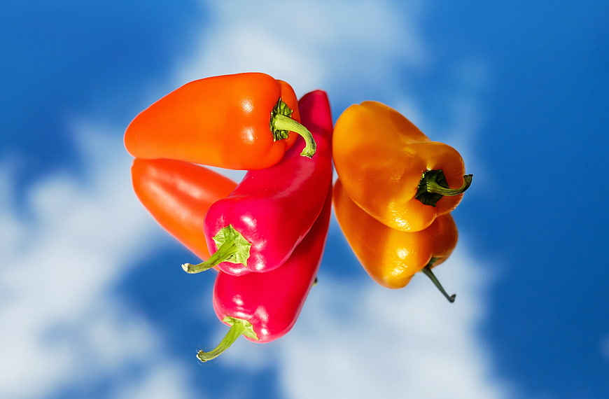 Colorful Bell Peppers Floating Against Blue Sky Background