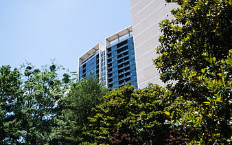 Modern Apartment Building with Blue Glass Windows Behind Green Trees