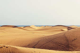 Golden Sand Dunes with Ocean Horizon in Maspalomas Desert