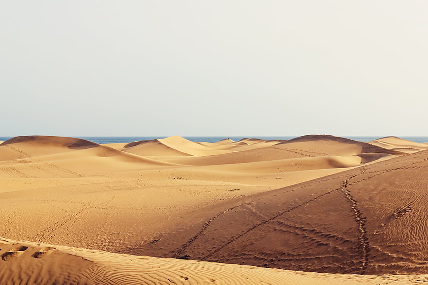 Golden Sand Dunes with Ocean Horizon in Maspalomas Desert