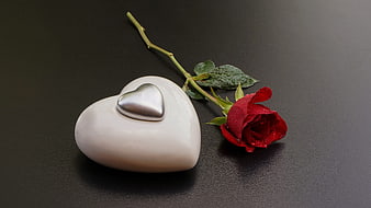 White and Silver Heart Sculpture with Red Rose on Black Background