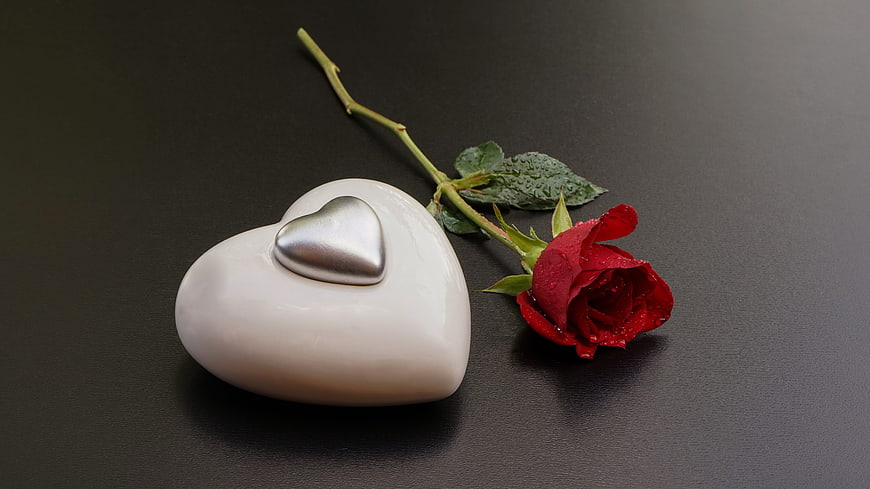 White and Silver Heart Sculpture with Red Rose on Black Background
