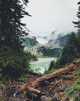 Misty Alpine Lake Surrounded by Pine Forest and Mountains