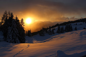 Golden Sunrise Over Snowy Mountain Forest with Footprints