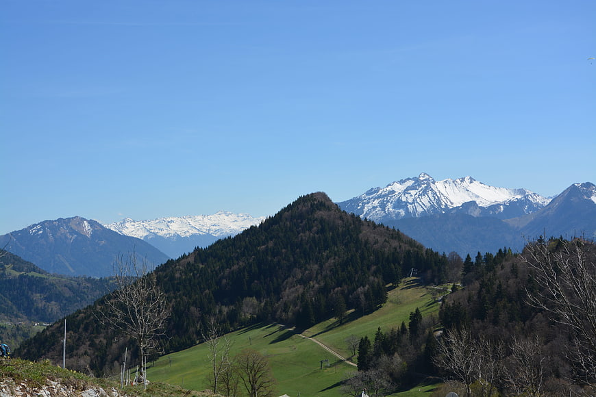 Snow-capped mountain peaks above green forested slopes