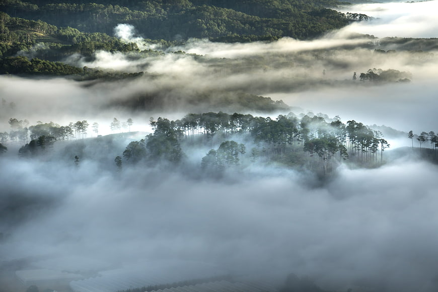 Misty Mountain Forest Landscape in Da Lat, Vietnam