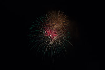 Colorful Fireworks Bursting Against a Dark Night Sky