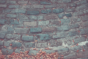 Textured Cobblestone Wall with Scattered Autumn Leaves