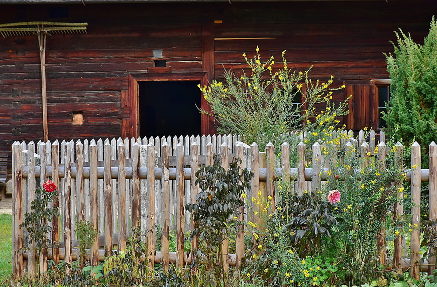 Rustic wooden fence with flowers in front of old barn