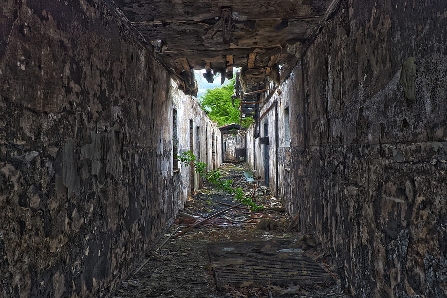 Abandoned Corridor With Fire Damage And Overgrown Nature