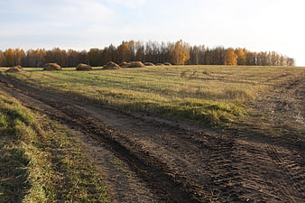 Autumn landscape with hay bales and dirt road