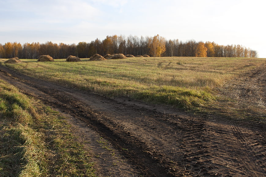 Autumn landscape with hay bales and dirt road