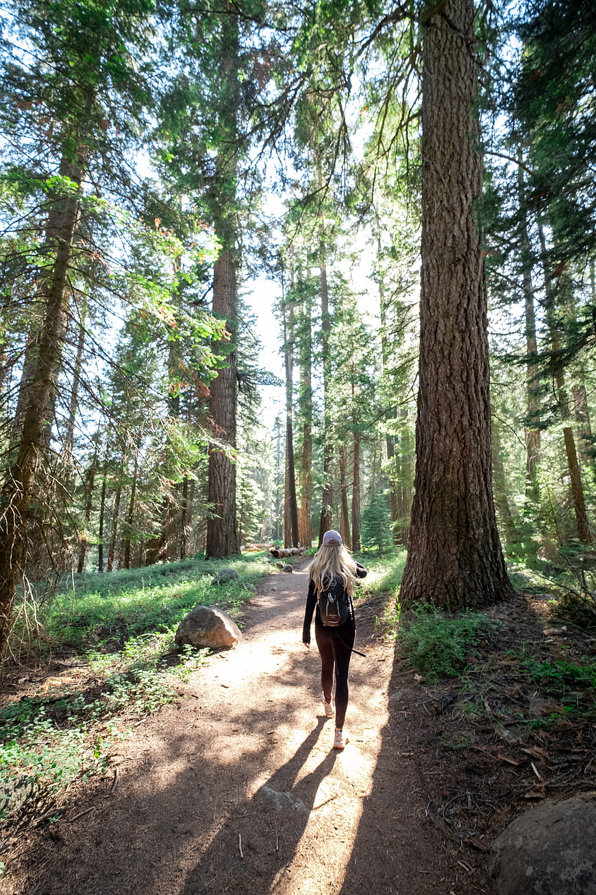 Woman Hiking on Forest Trail with Tall Trees