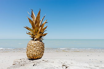 Golden pineapple on driftwood at sunny beach