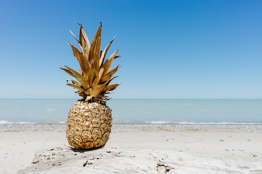 Golden pineapple on driftwood at sunny beach