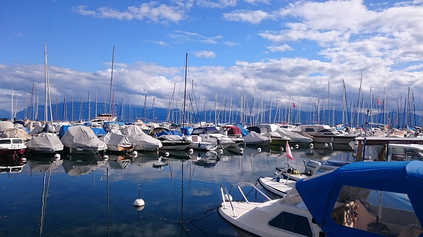 Sailboats docked in a marina with mountains in the background