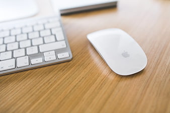 White Apple Magic Mouse and Keyboard on Wooden Desk