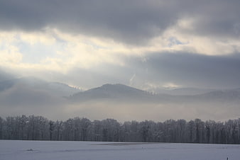 Misty Winter Landscape with Snowy Mountains and Forest