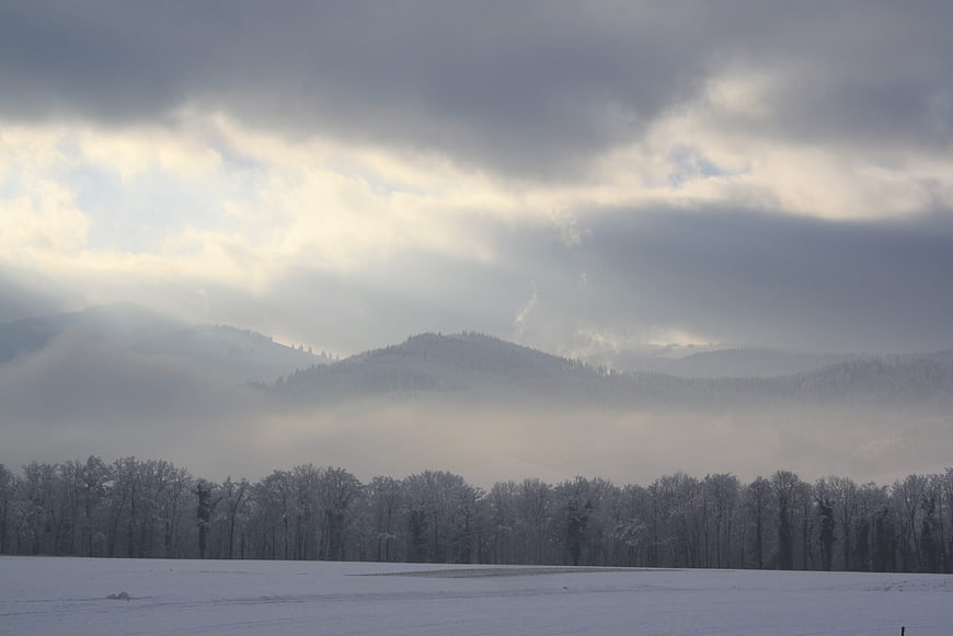 Misty Winter Landscape with Snowy Mountains and Forest