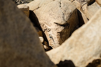 Rock climber scaling massive boulder in desert canyon