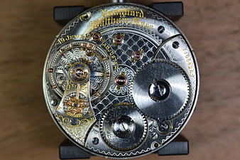 Vintage Vanguard Waltham Watch Movement Macro