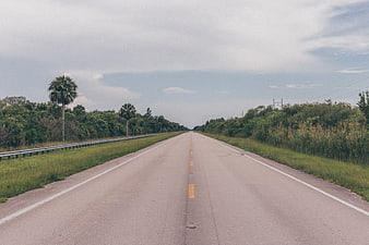 Empty Highway Stretching to Horizon with Palm Trees