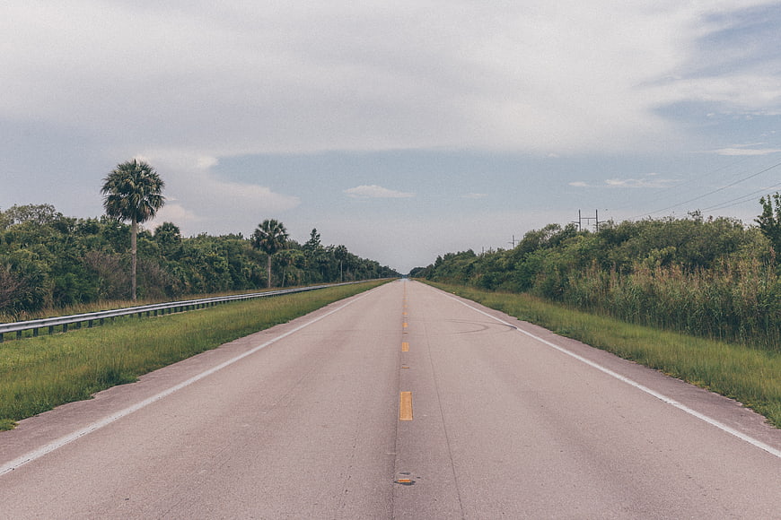 Empty Highway Stretching to Horizon with Palm Trees