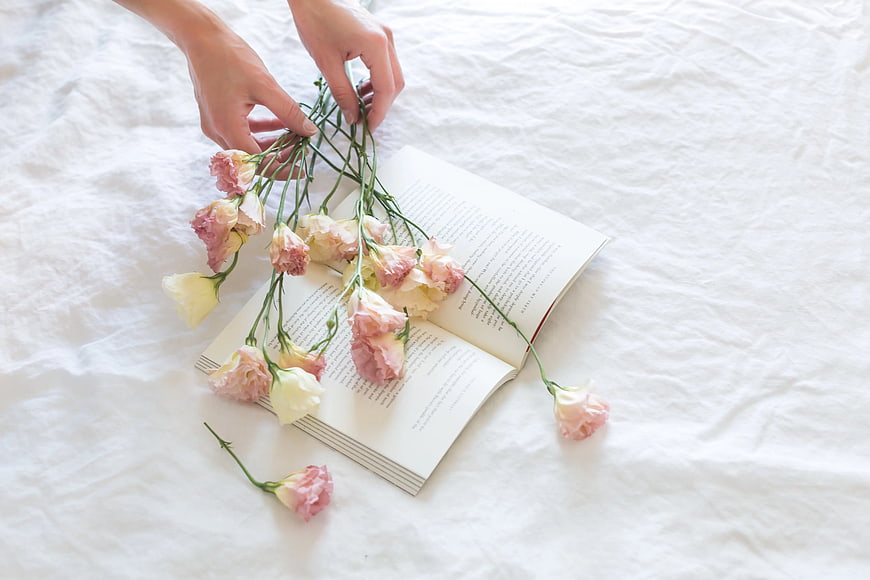 Hands placing pink flowers on open book white background