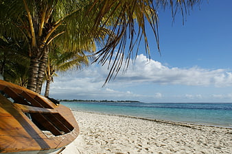 Tropical Beach Scene With Wooden Boat And Palm Trees