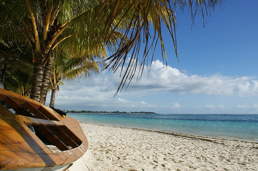 Tropical Beach Scene With Wooden Boat And Palm Trees