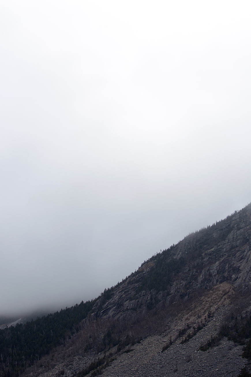 Misty Mountain Slope with Foggy Forest Landscape
