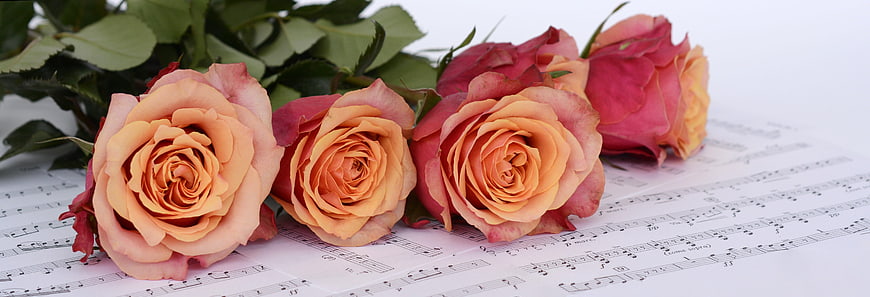Vintage Roses on Sheet Music Background