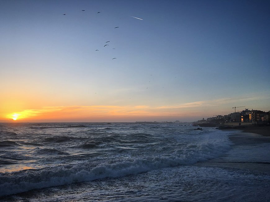 Sunset over ocean waves with birds flying and coastal city skyline