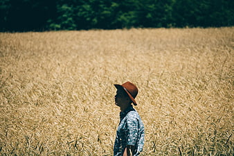Man in Fedora Standing in Golden Wheat Field