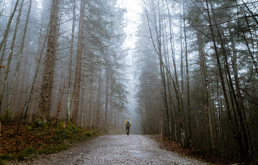 Lone Hiker Walking on Foggy Forest Road