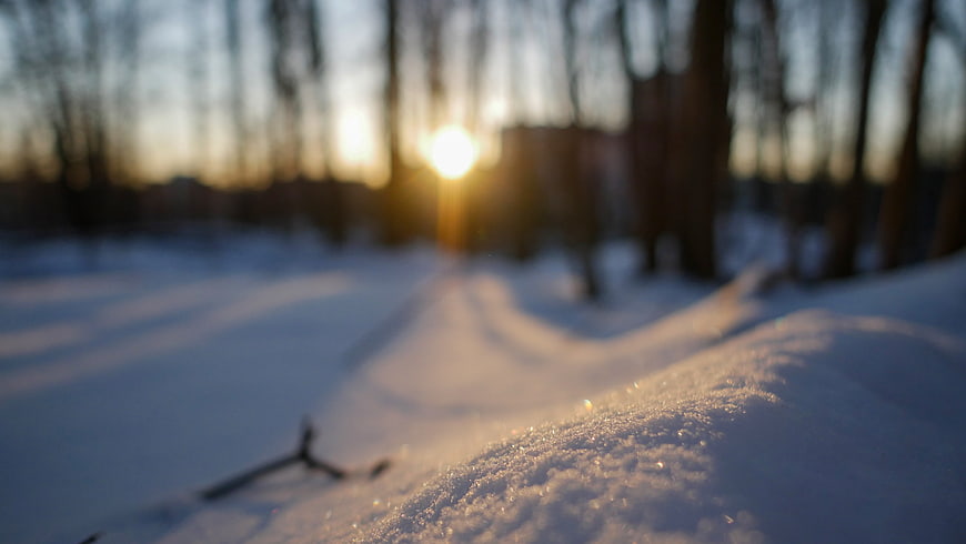 Close-up of Sparkling Snow Texture in Winter Forest at Sunset