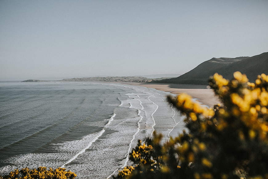 Coastal Landscape with Yellow Gorse and Ocean Waves