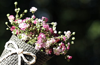 Pink Dianthus Flowers in Woven Basket with White Ribbon