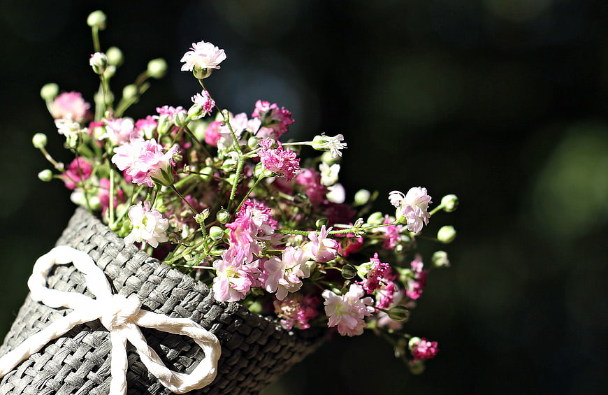Pink Dianthus Flowers in Woven Basket with White Ribbon