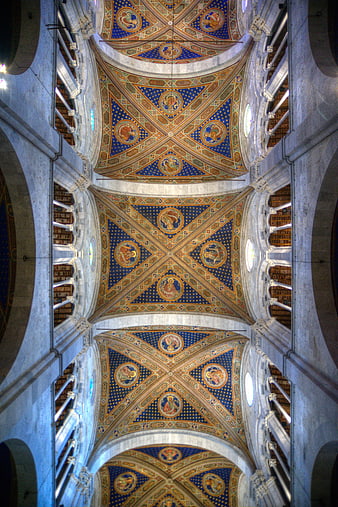 Ornate Blue and Gold Vaulted Cathedral Ceiling