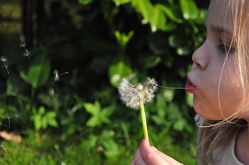 Young Girl Blowing Dandelion Seeds in Garden