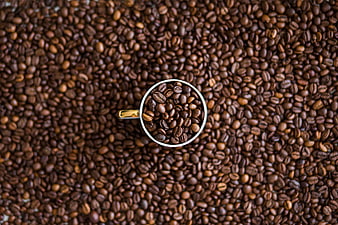 Top View of Coffee Beans in White Cup on Bed of Beans